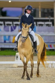 The Games - Equestrian, Sarona, July 19th Equestrian